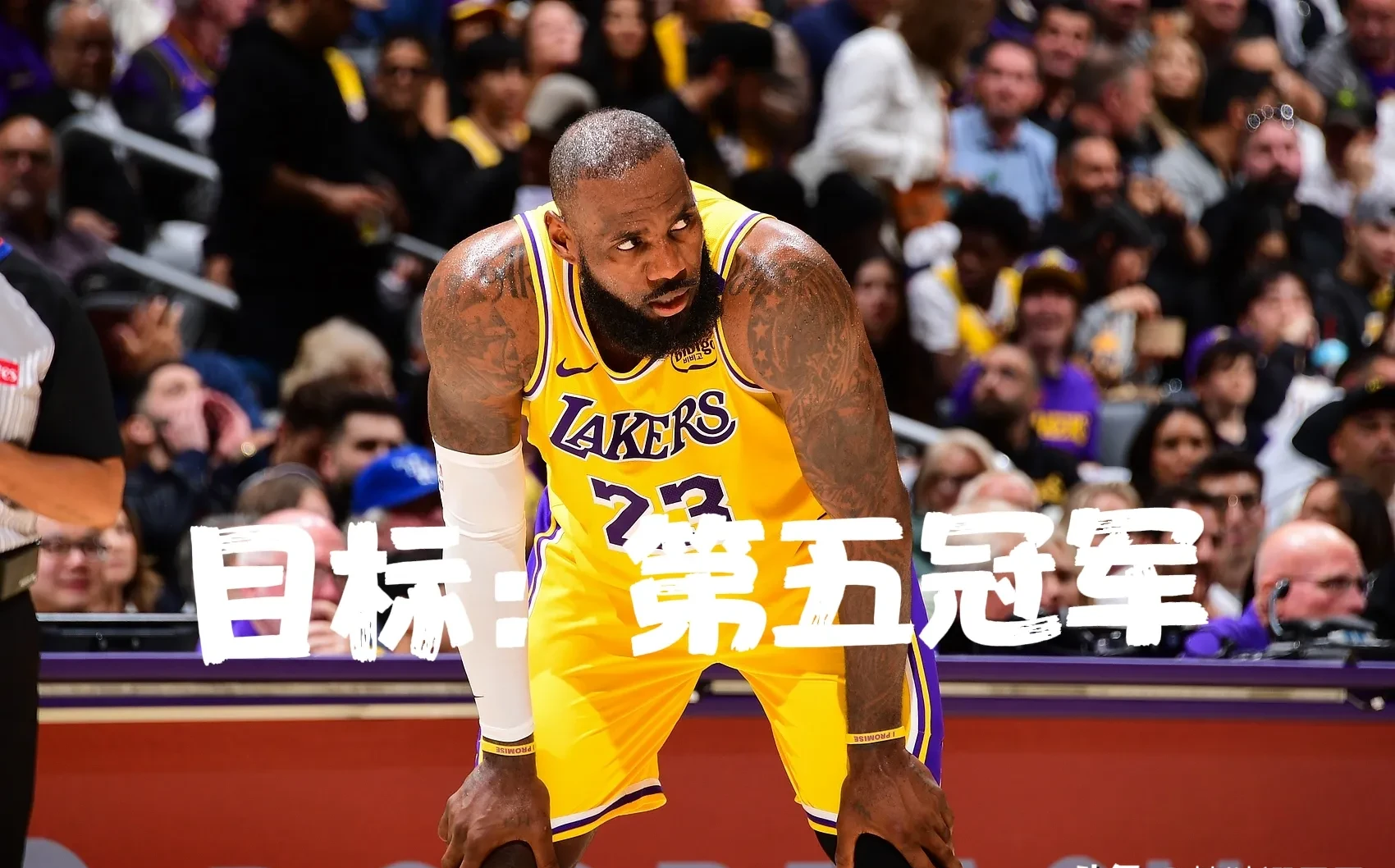 九游体育-包含詹姆斯重返赛场，出色发挥首场状态出色，曼联观众沸腾！全场沸腾不已的词条